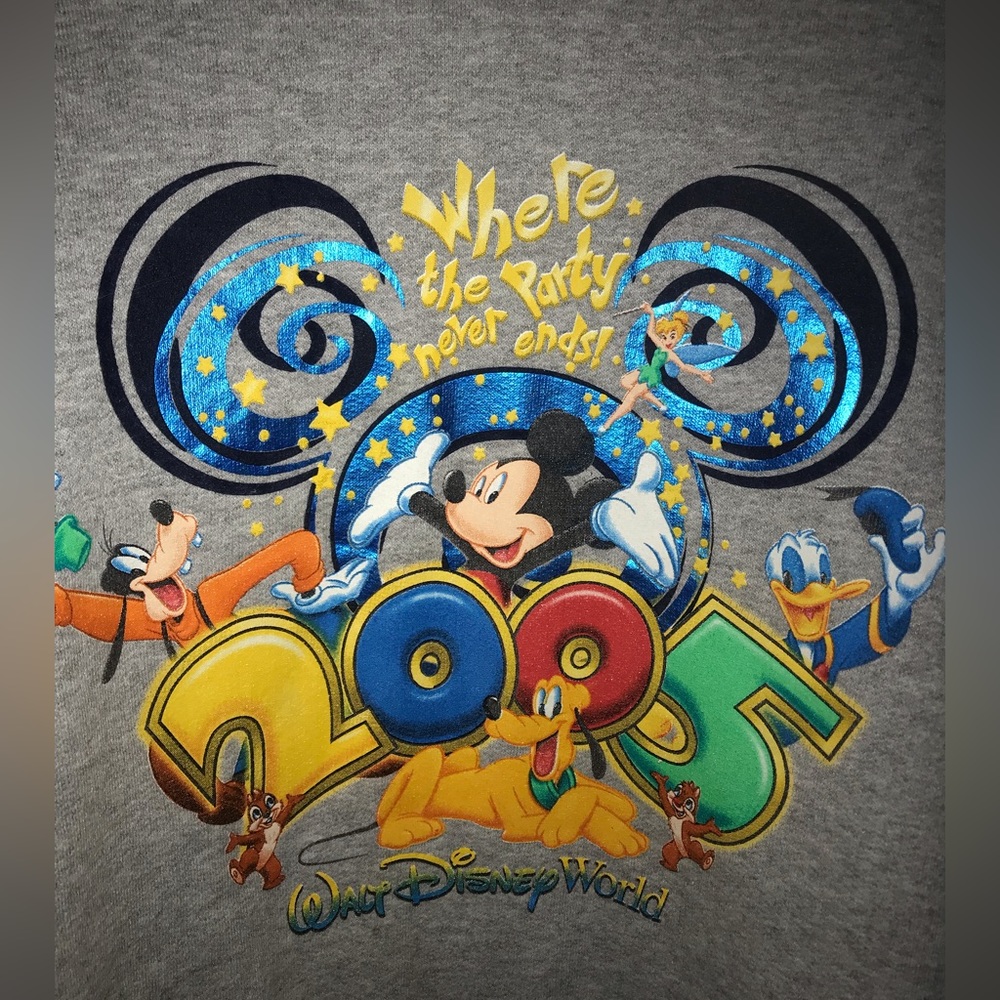 Walt Disney World sweatshirt